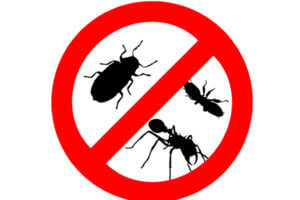 Complete Protection