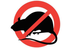 Rodent Removal